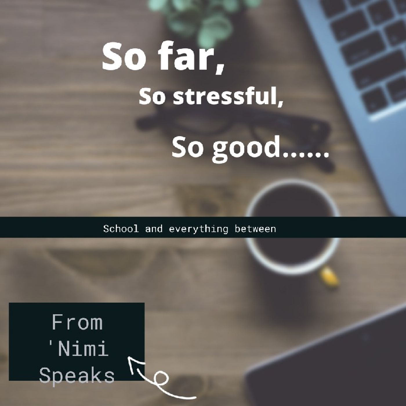\'Nimi Speaks