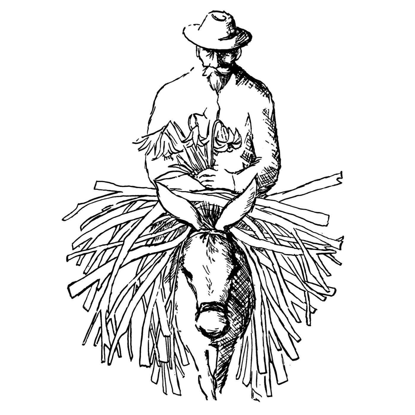 A Spanish Poet and His Donkey Changed My Life A Spanish Poet and His Donkey Changed My Life