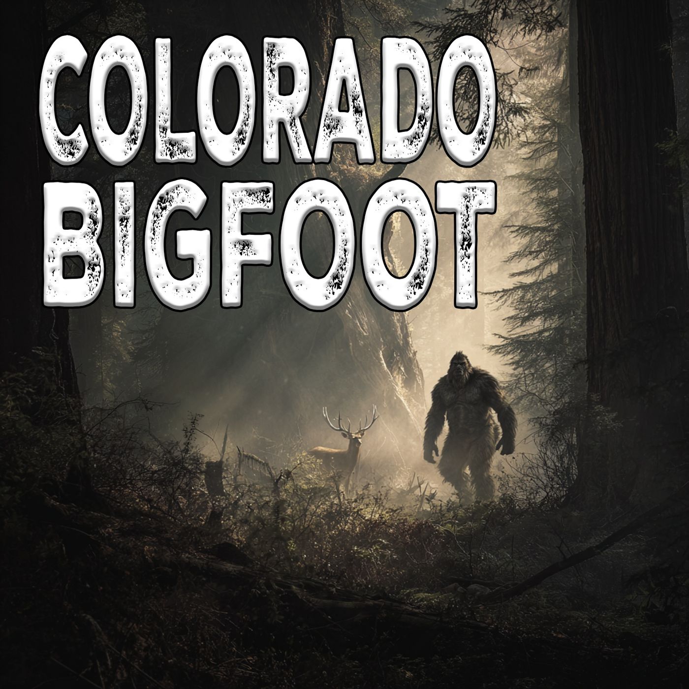 A Strange Bigfoot Event in Colorado