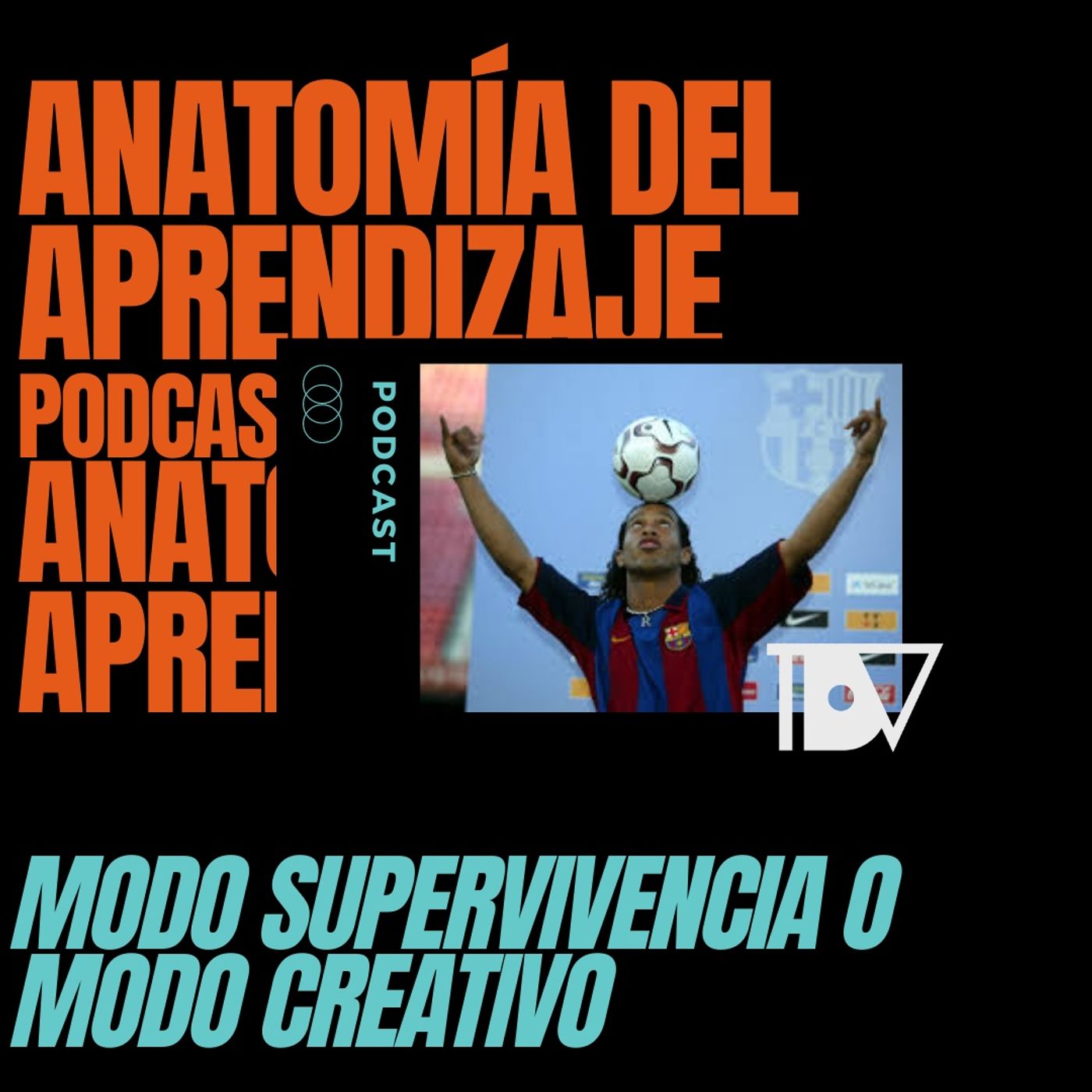 Anatomía del Aprendizaje