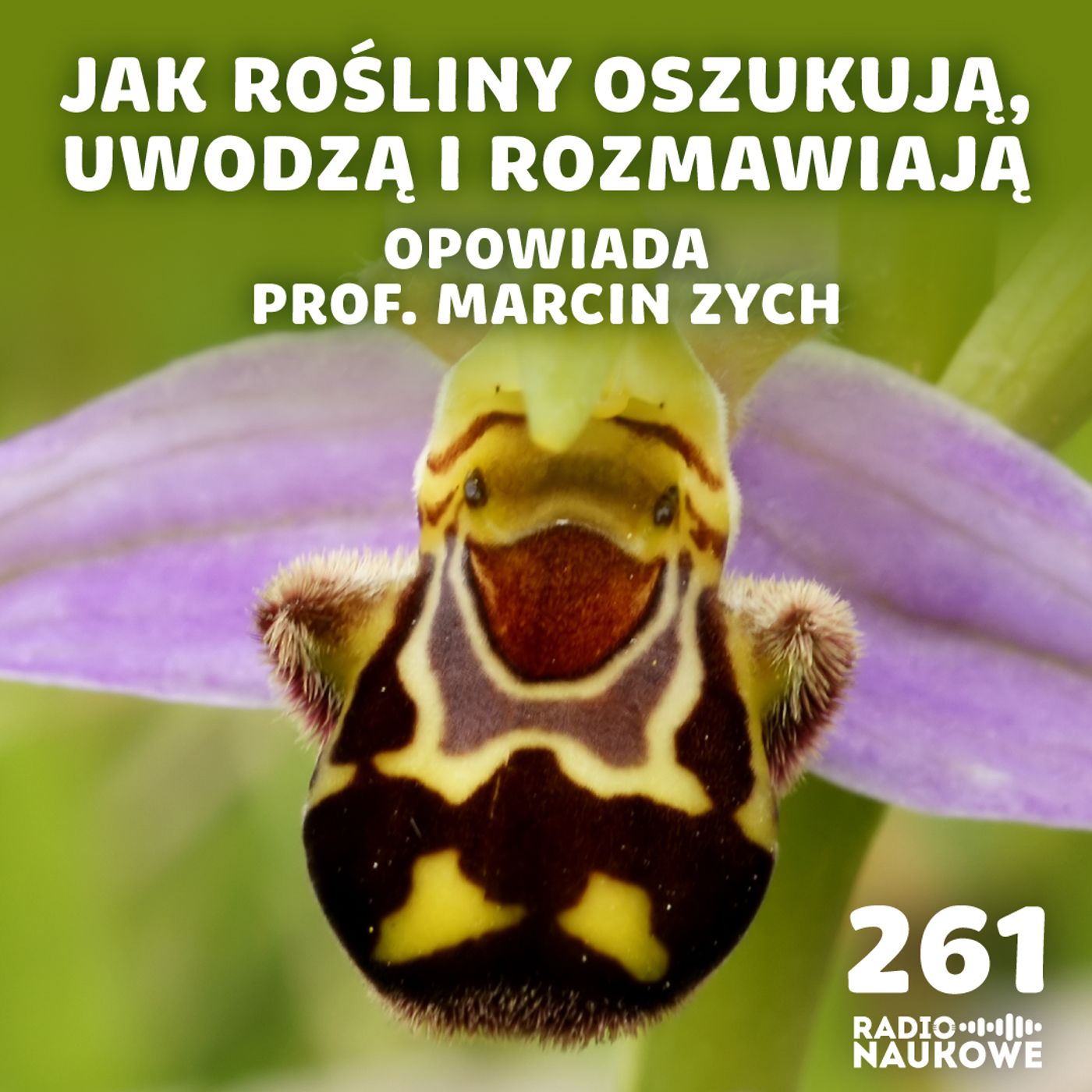 #261 Komunikacja roślin – jak natura nauczyła się mówić bez słów | prof. Marcin Zych
