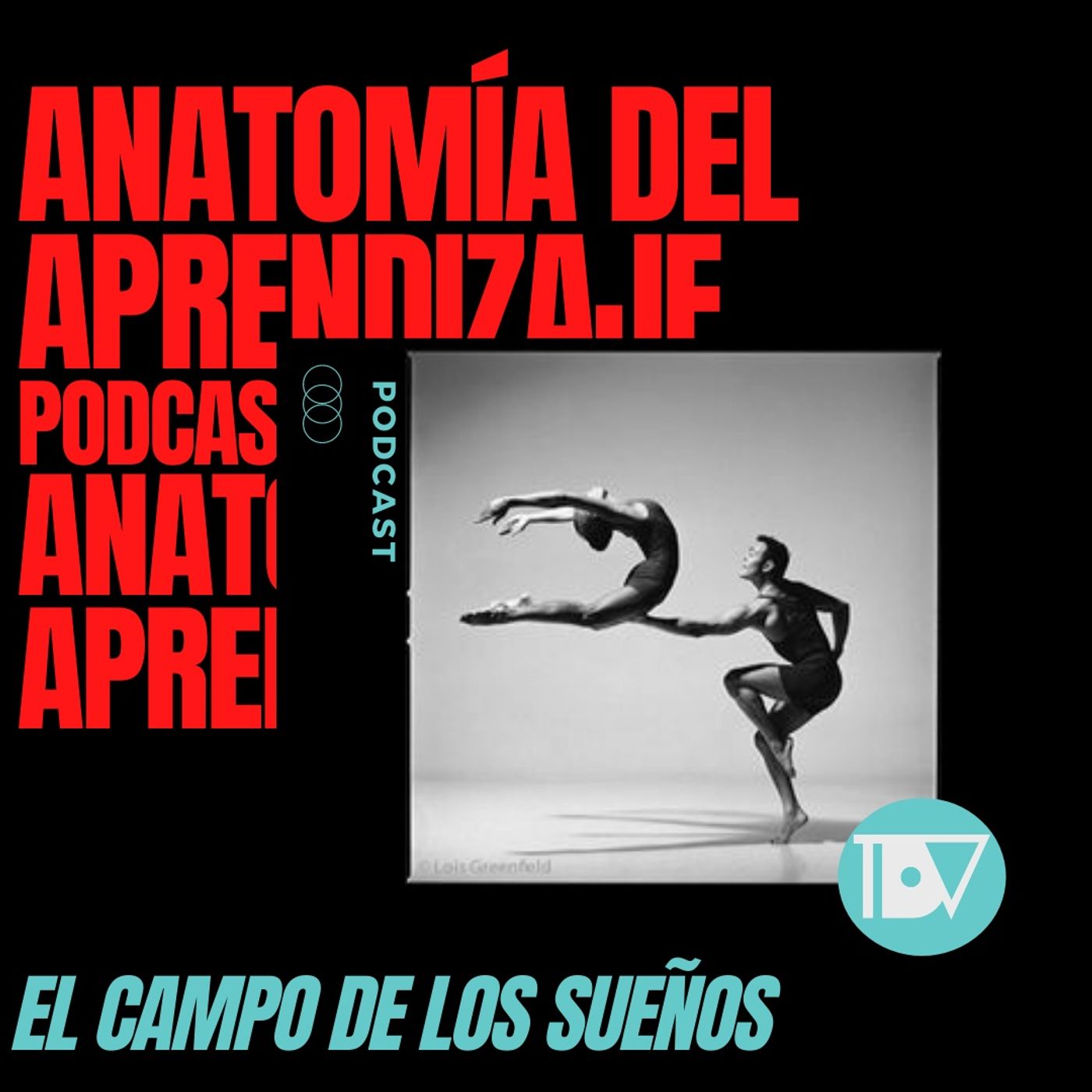 Anatomía del Aprendizaje