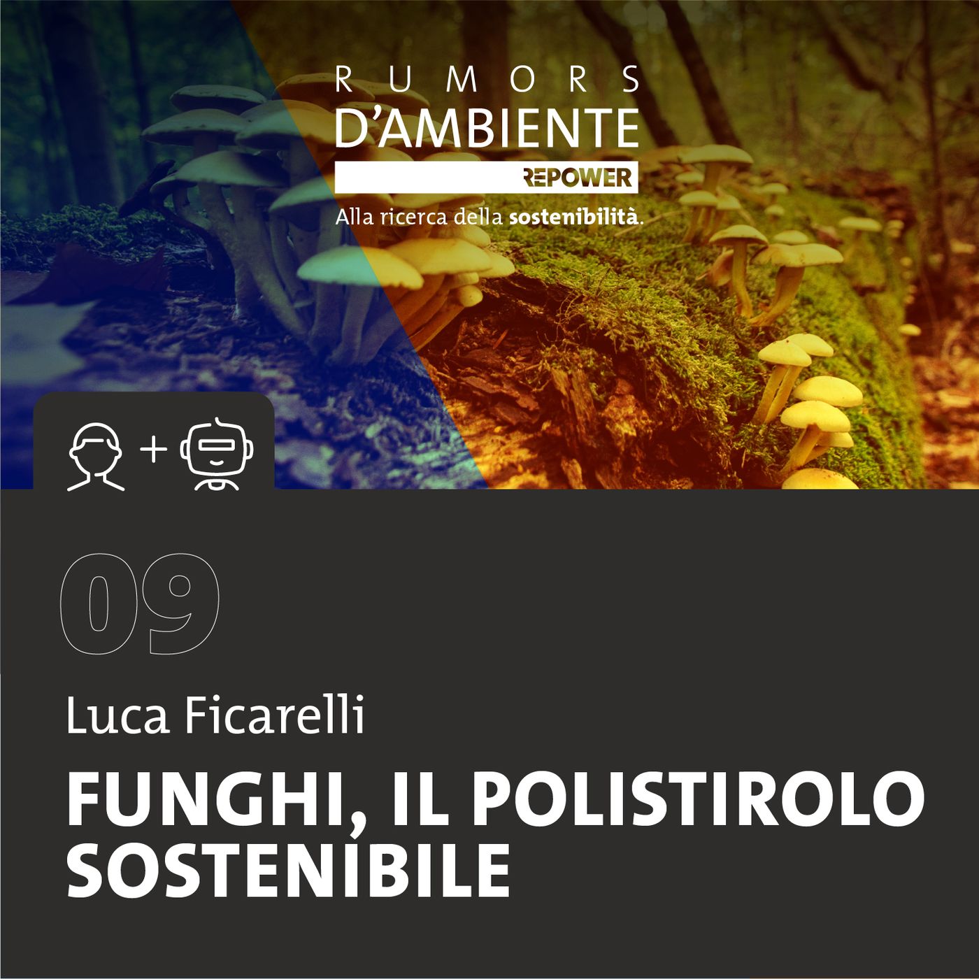 Luca Ficarelli: funghi, il polistirolo sostenibile episode artwork