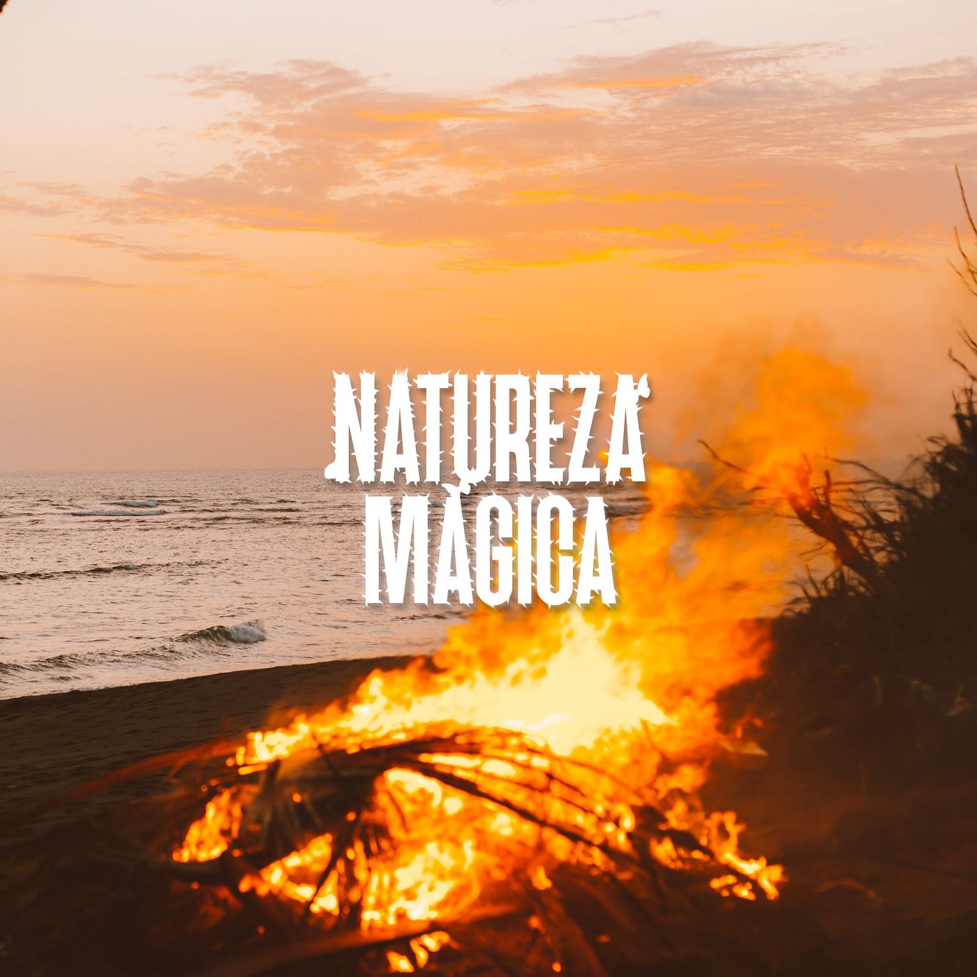 Som de Fogueira na Praia • 1 hora