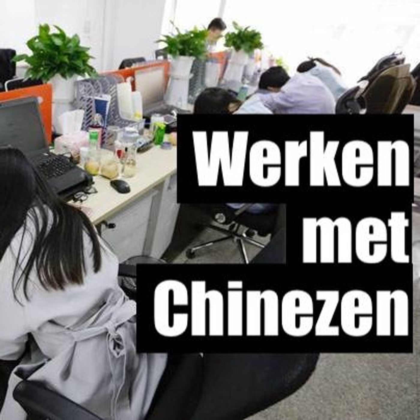 Lach&Leer Sessies