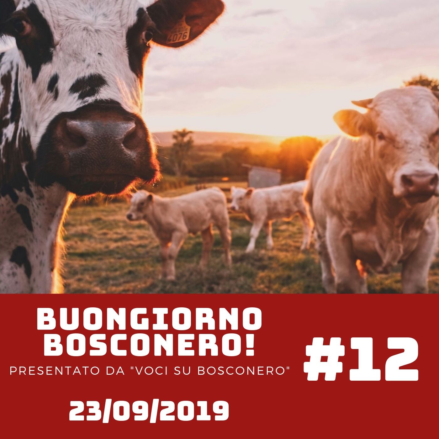 Buongiorno Bosconero