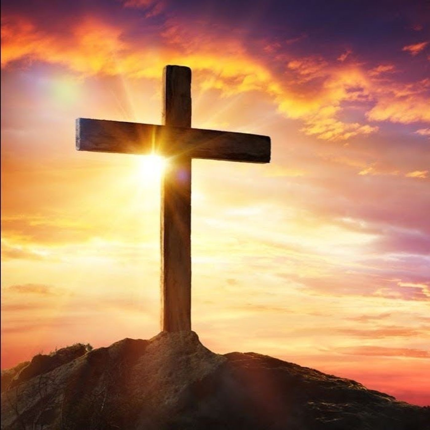 Omelia 14 Settembre 2025 - XXIV Domenica del Tempo Ordinario