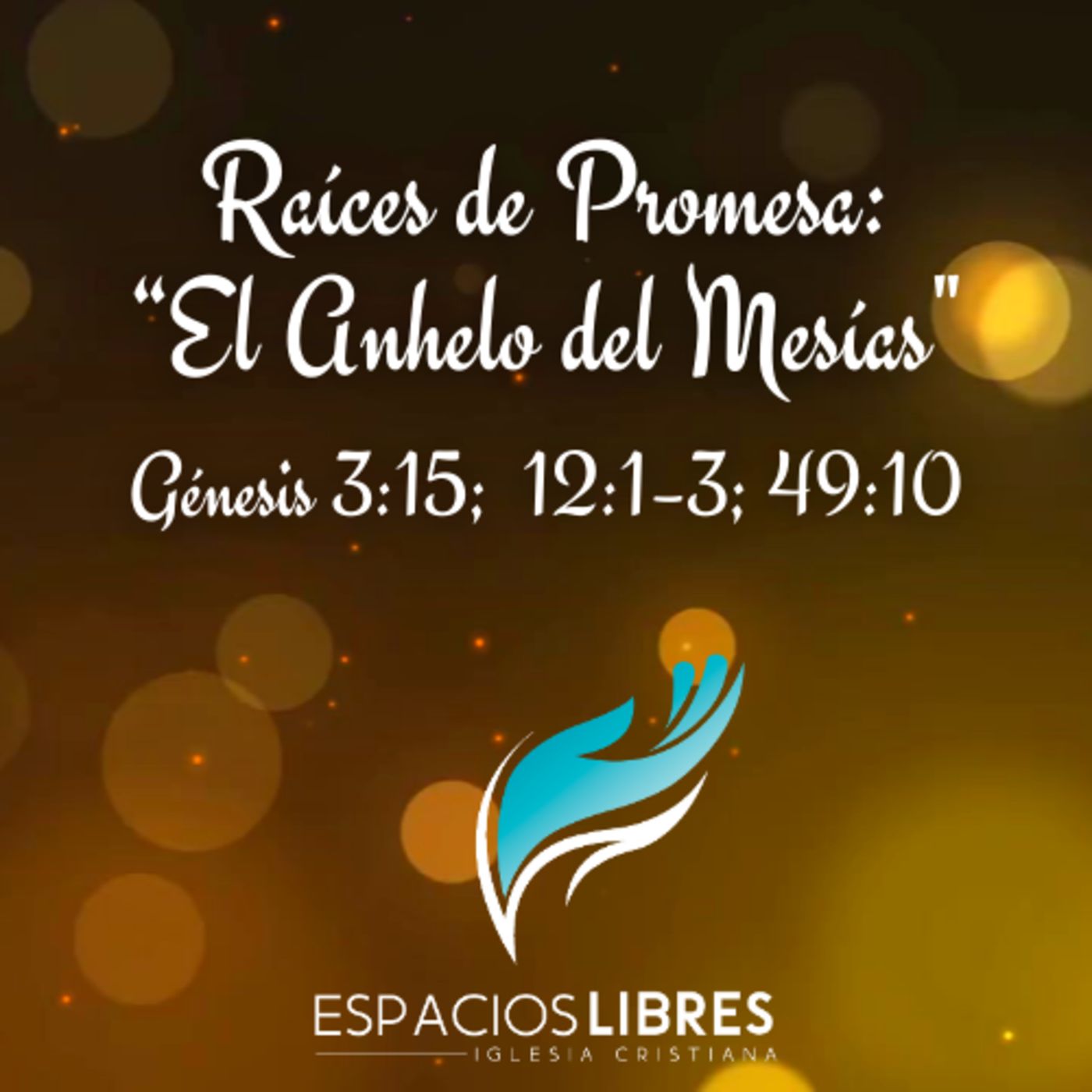 IGLESIA CRISTIANA ESPACIOS LIBRES