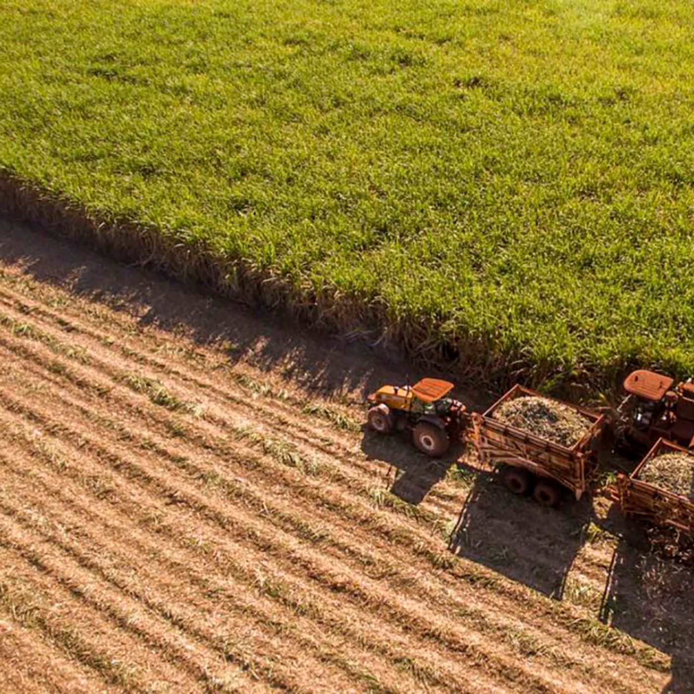 GT Estudios Críticos del Desarrollo Rural