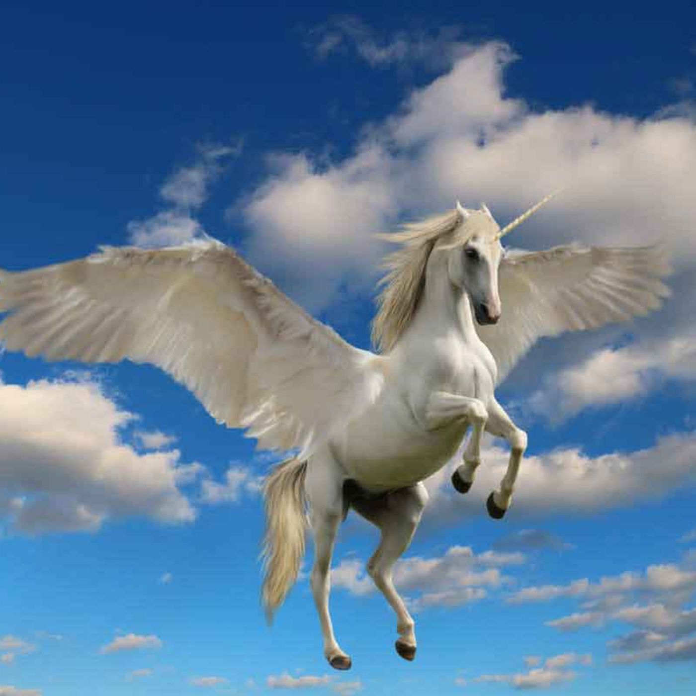 Gli unicorni esistono davvero  e non scherzo episode artwork