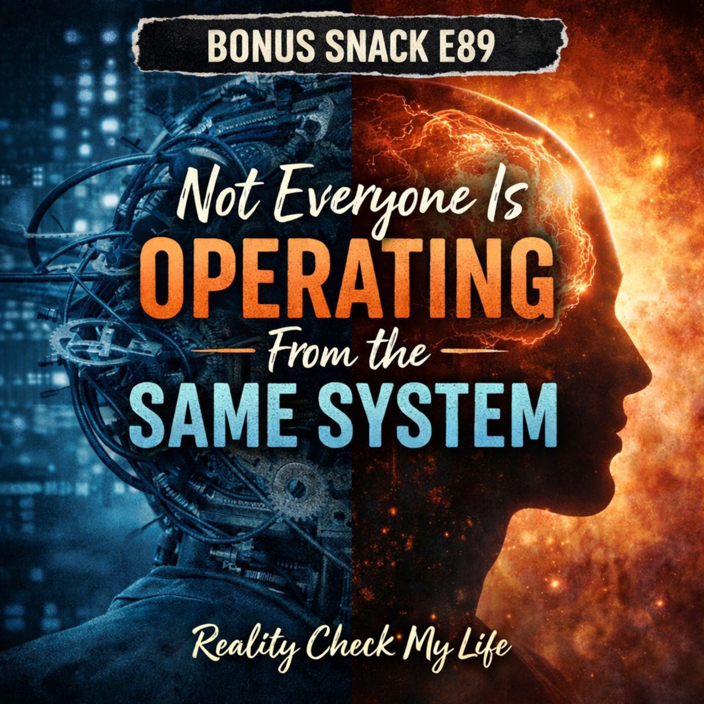 Bonus Snack E89: Not Everyone Is Operating From the Same System