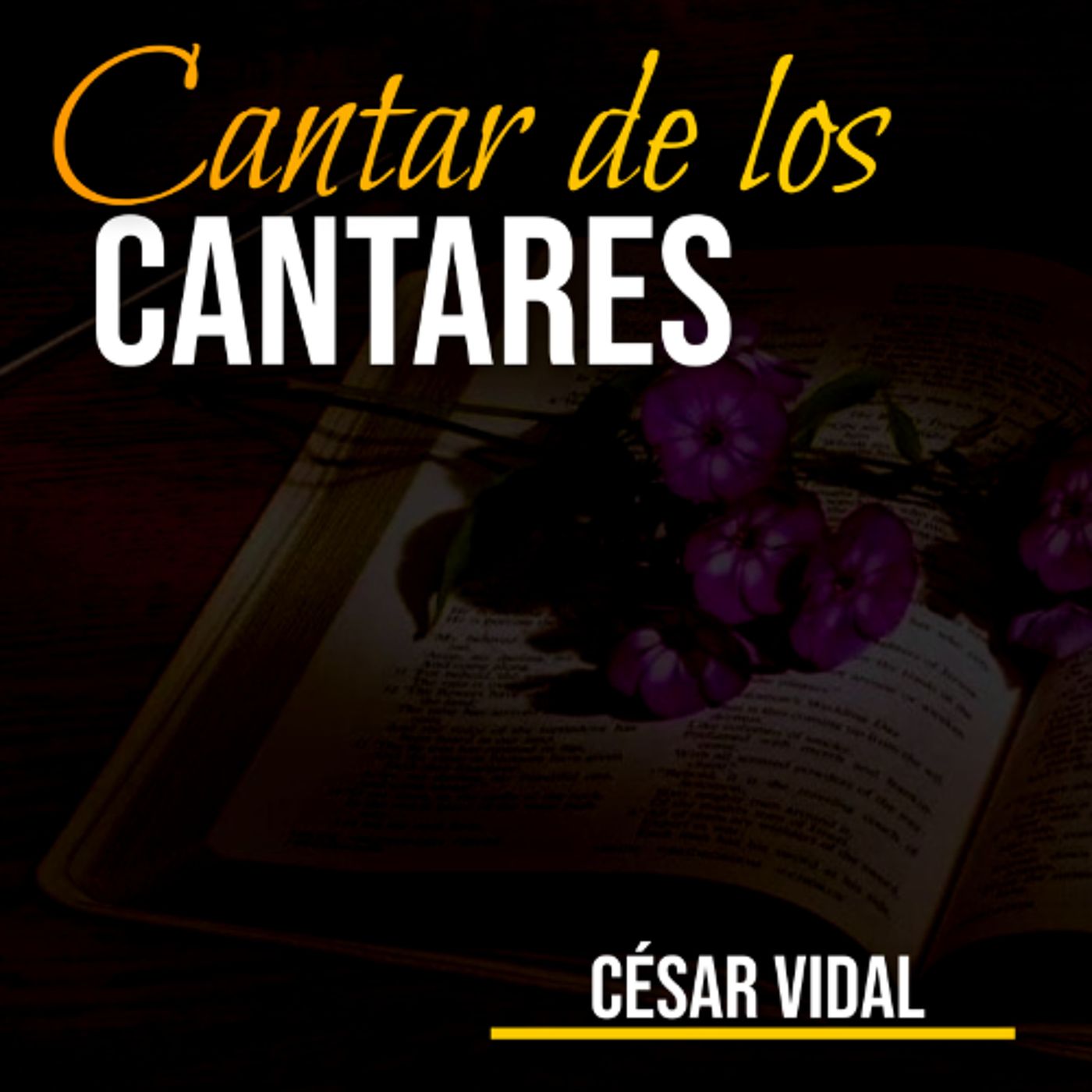 CLASE DOMINICAL_ CANTAR DE LOS CANTARES 1_1-17 - 2_1-14_ 08-07-25 episode artwork