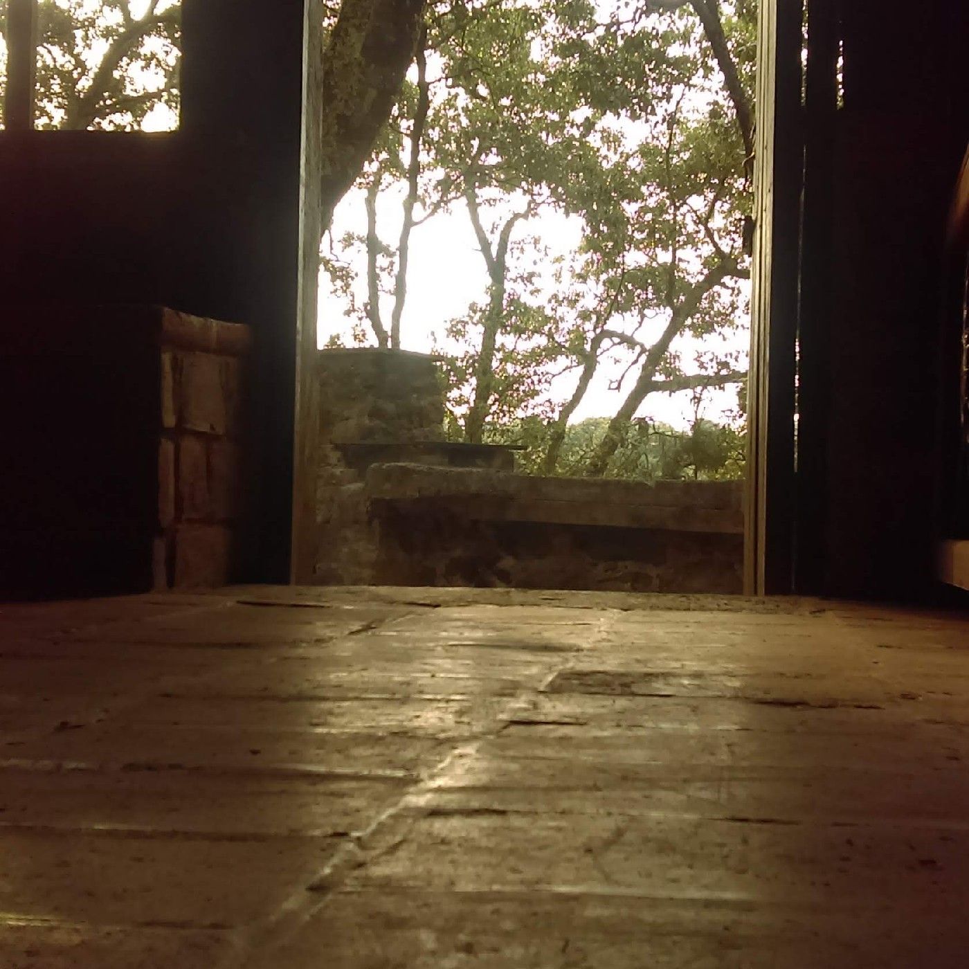 Descubriendo/Mi Felicidad cover art