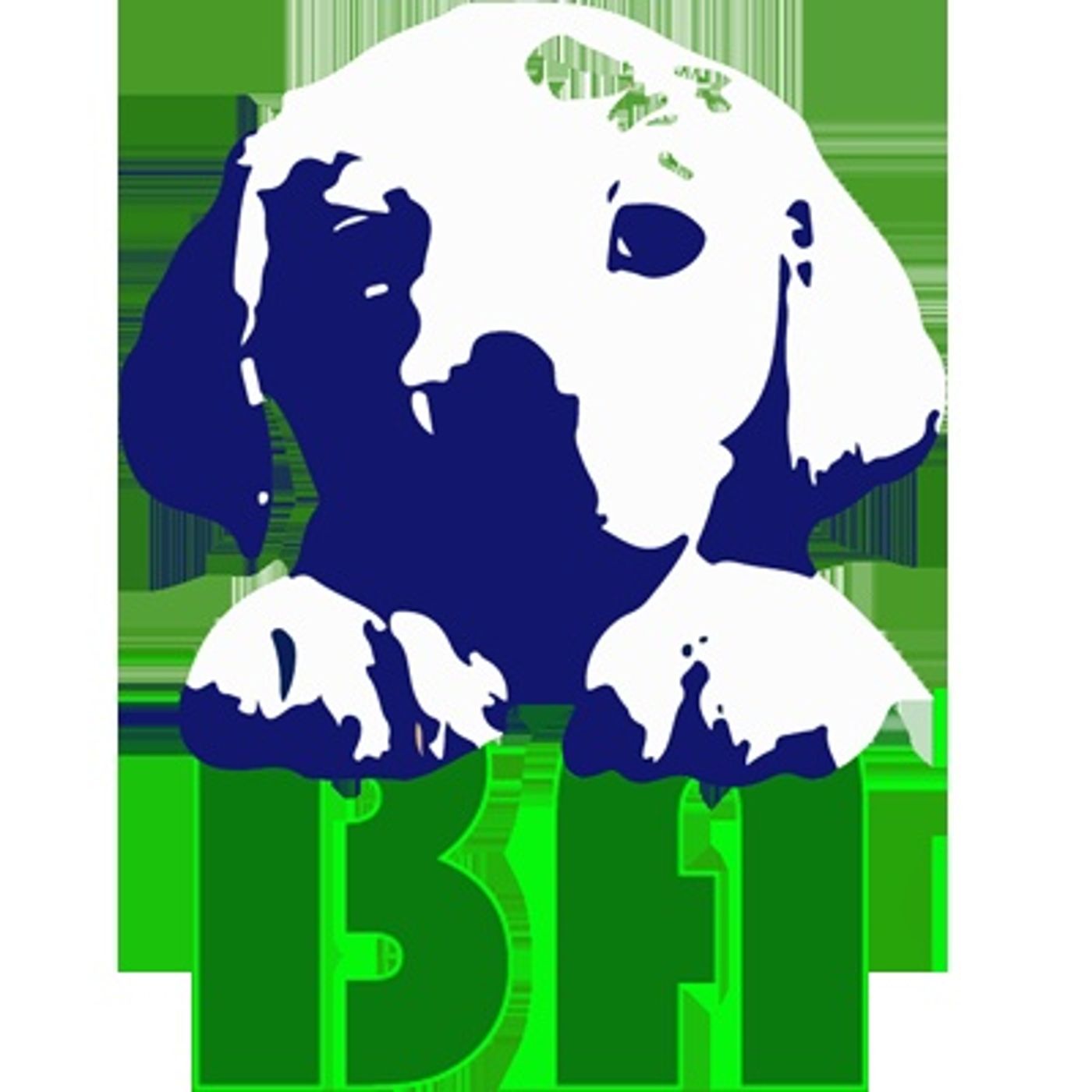 Radio Bauadvisor