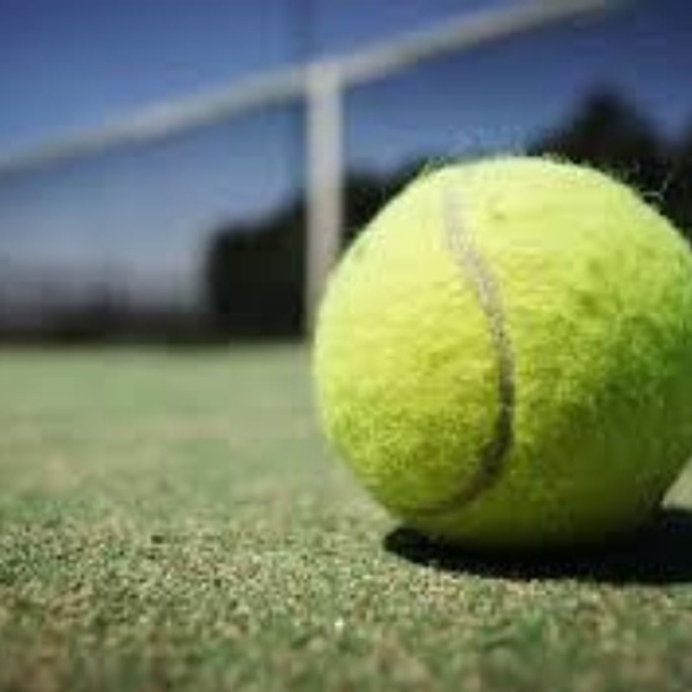 Il fantastico mondo dello SPORT
