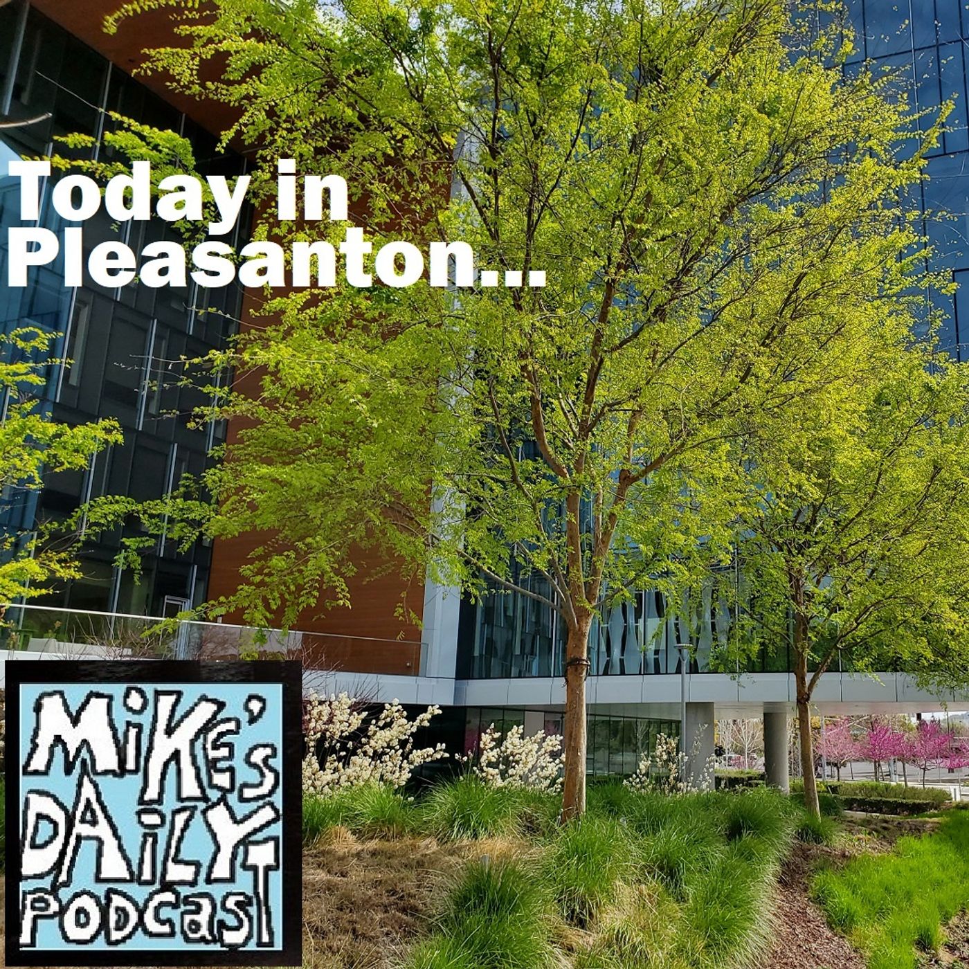 Mike\'s Daily Podcast