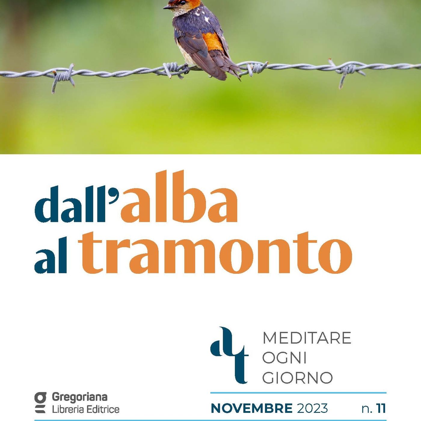 Domenica 26 novembre 2023 - Solennità di Cristo Re XXXIV domenica del Tempo Ordinario