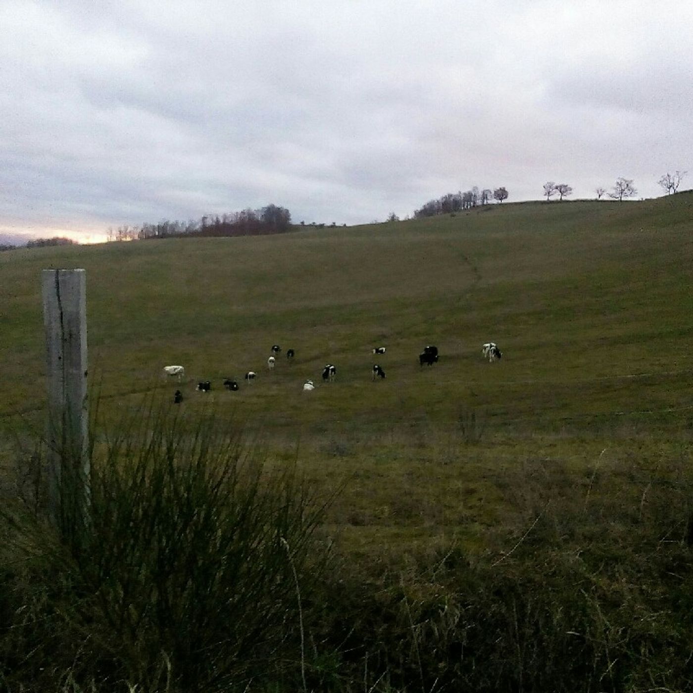 Bullocks Football Club