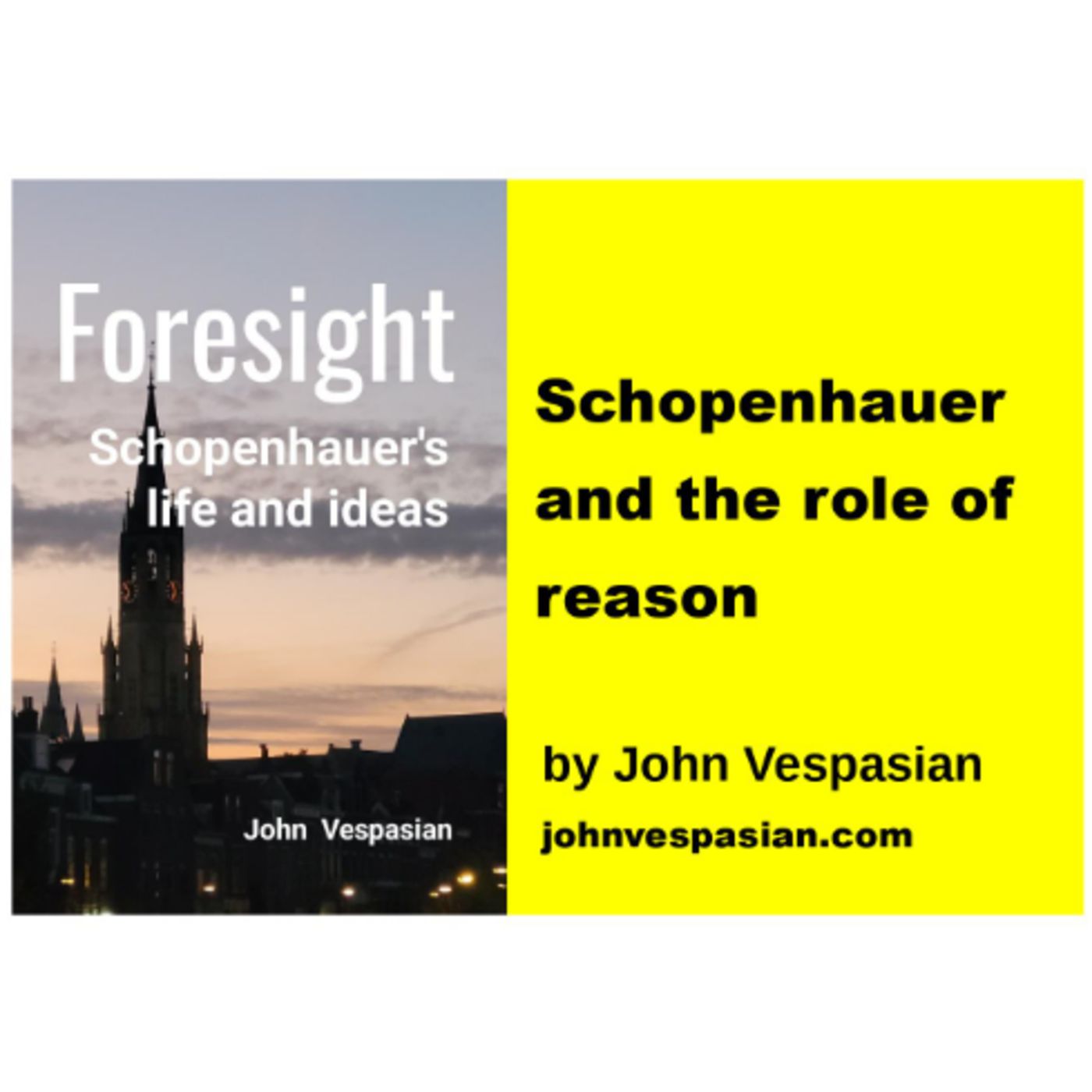 Schopenhauer and the role of reason episode artwork