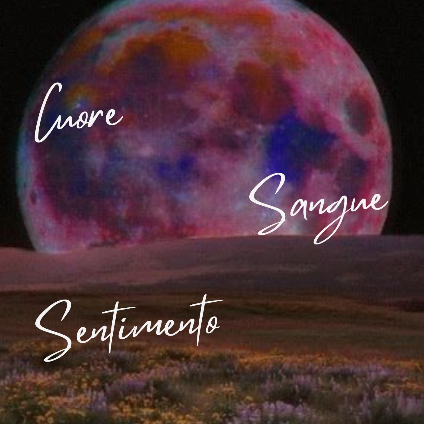 Cuore Sangue Sentimento