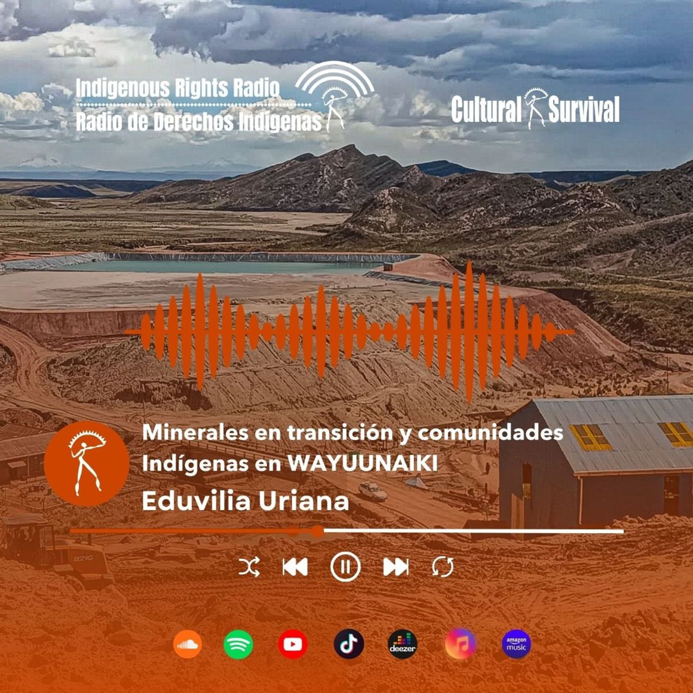 Minerales en transición y comunidades Indígenas - Wayuunaiki episode artwork