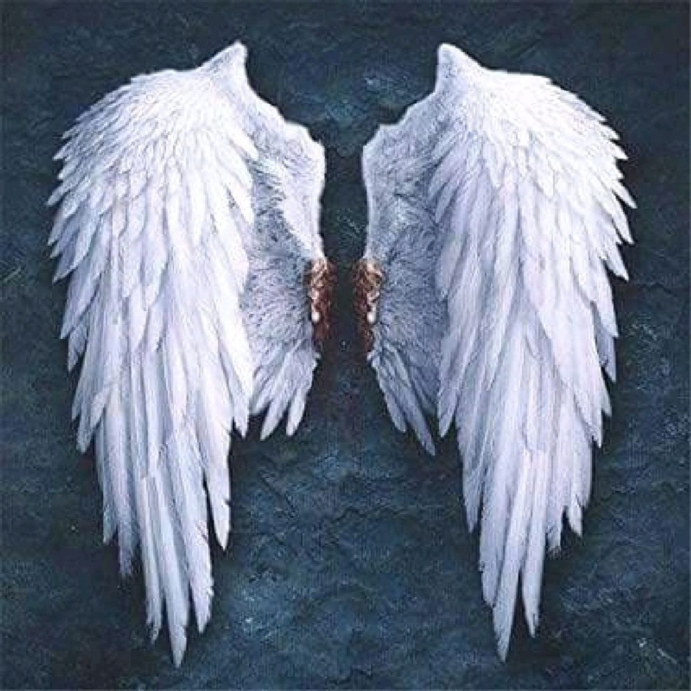 Ángel El 9 De 12