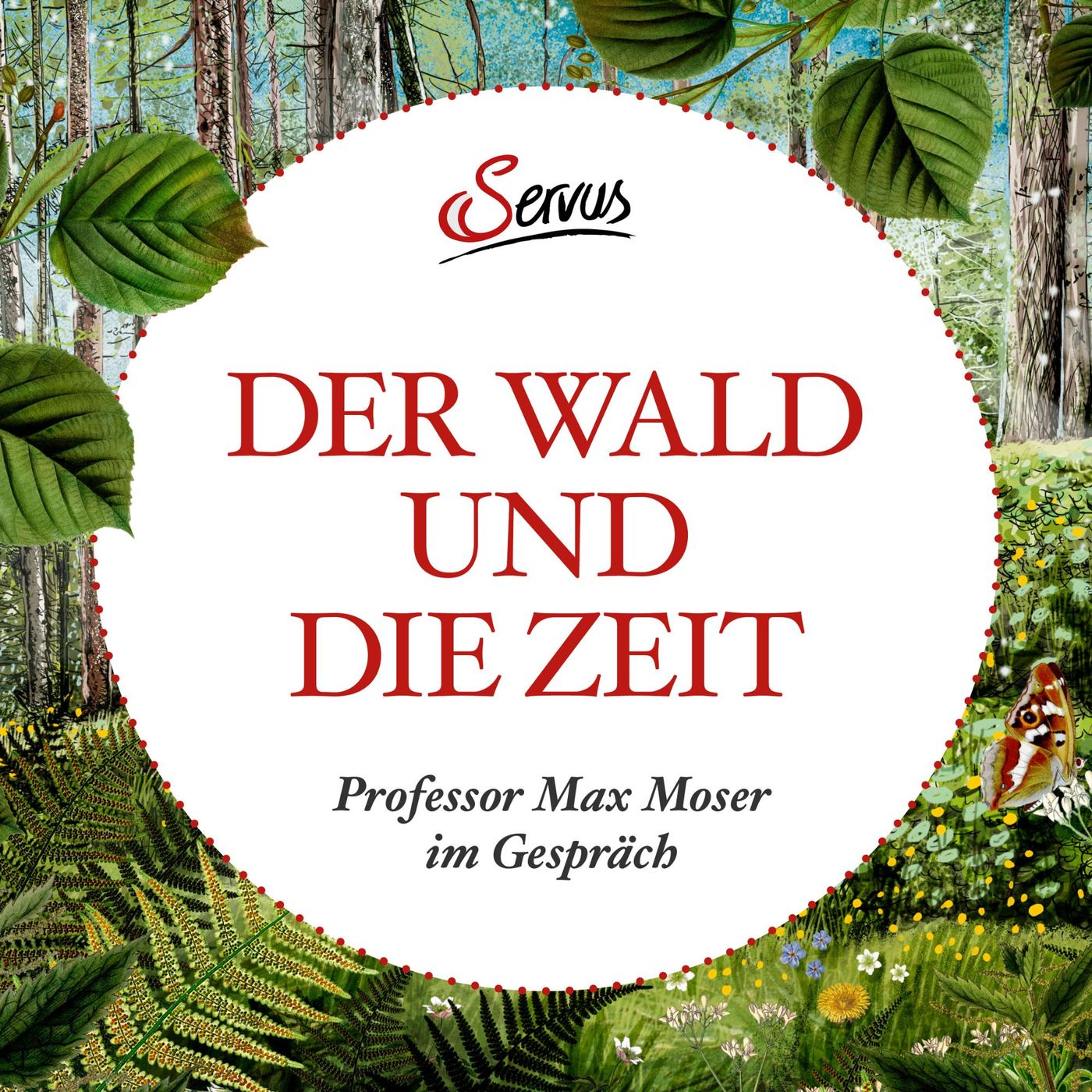 Servus Küche