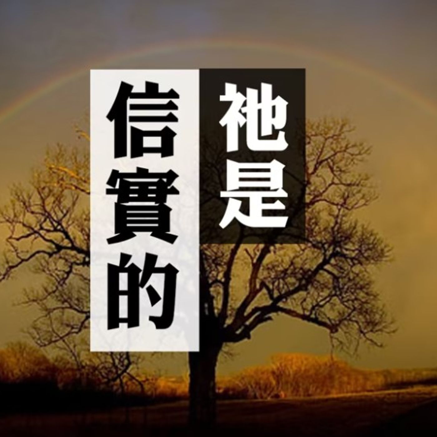 祂是信實的 | Vivien Tsang episode artwork