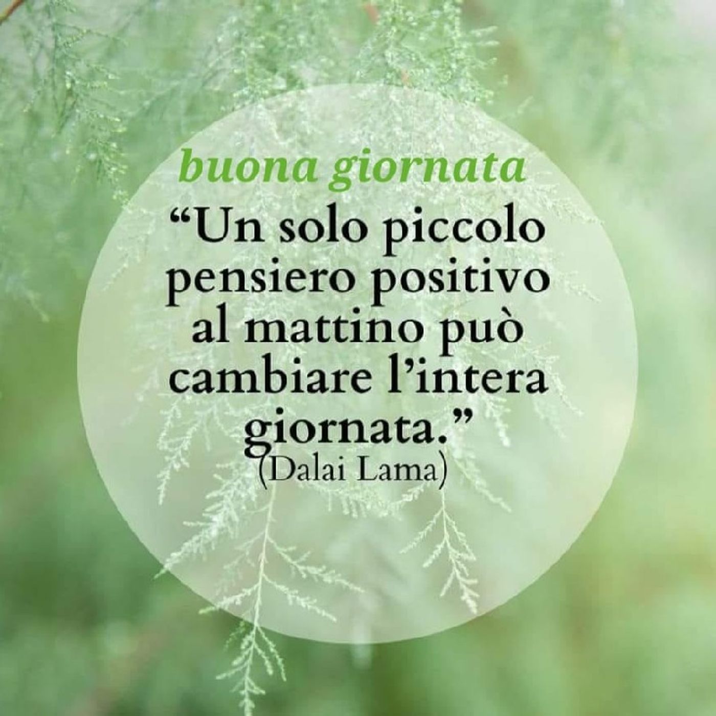 Meditazioni guidate