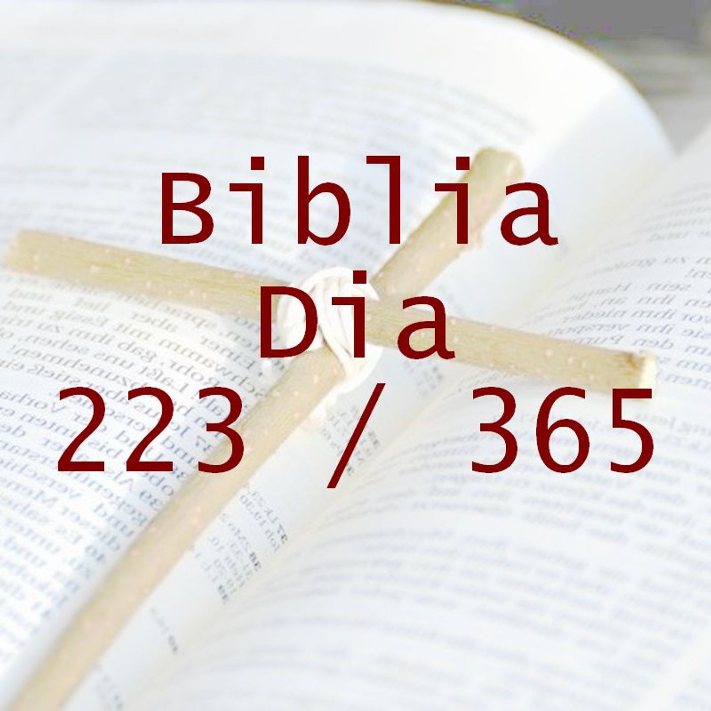 La Biblia en 365 dias