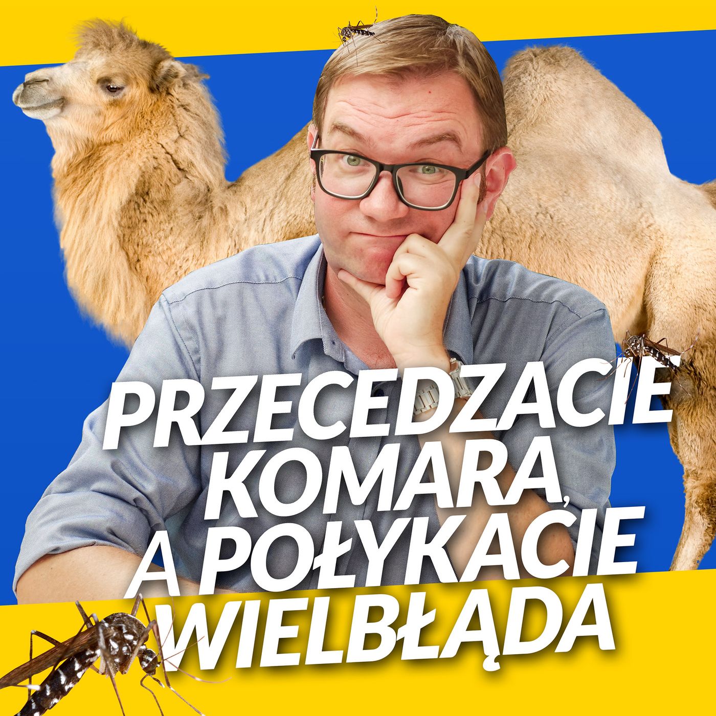 Tomasz Kopyra