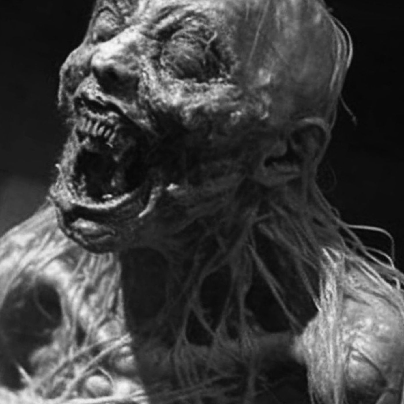 La Autopsia De Una Bruja Historias De Terror - REDE