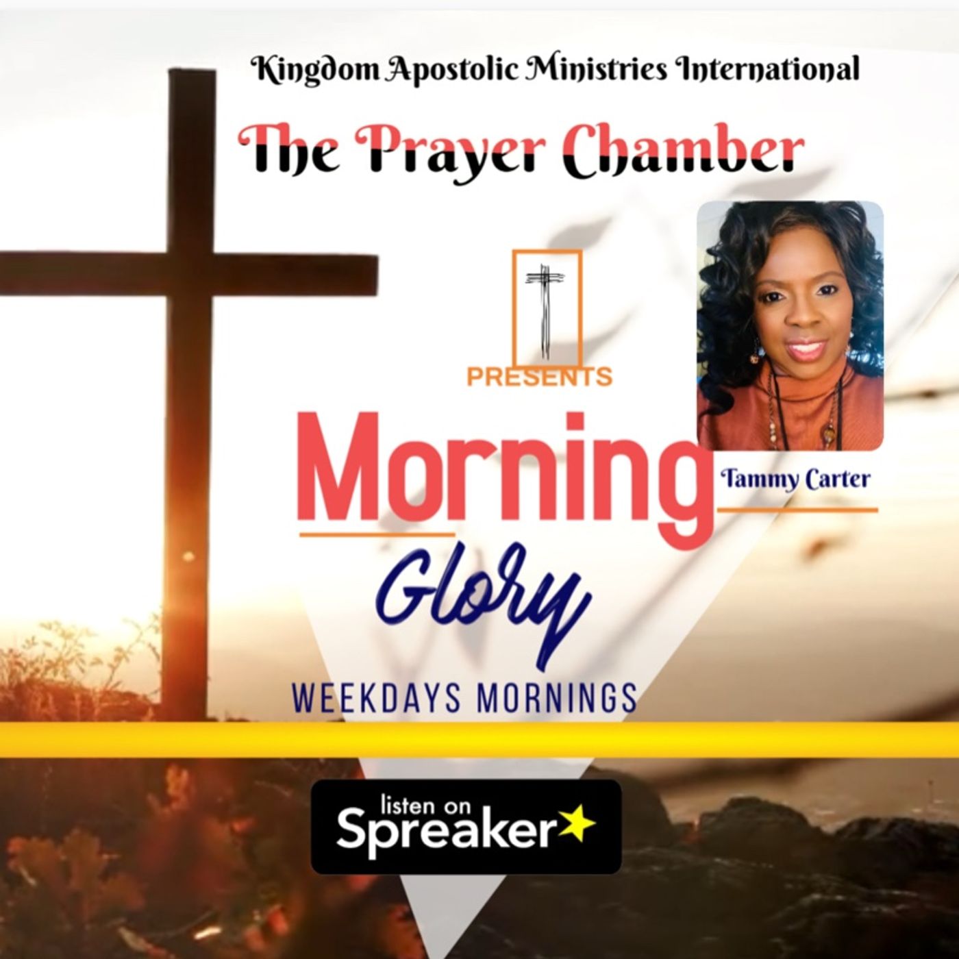 Morning Glory