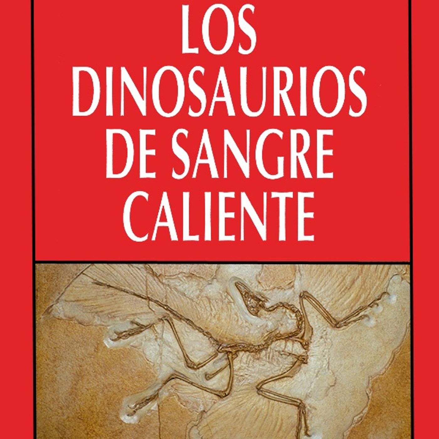 Historias de los Libros