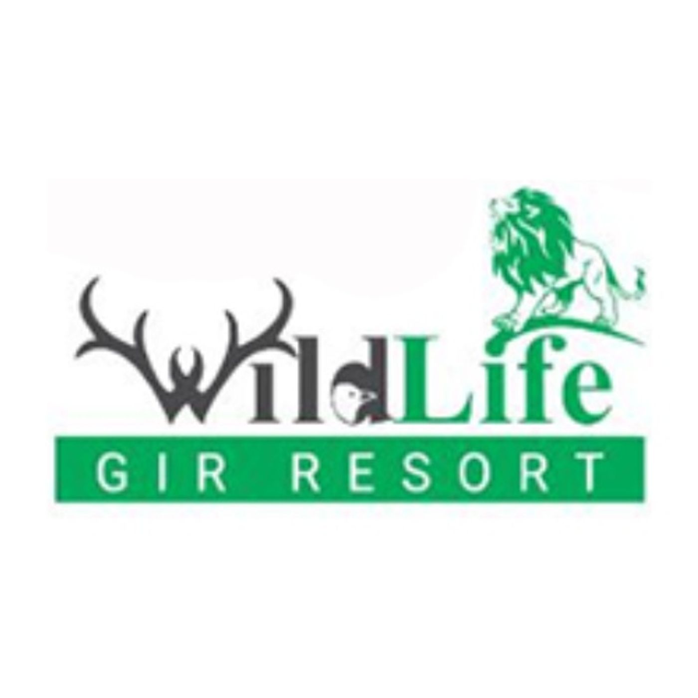 Wildlife Gir Resort Tales: Your Ultimate podcast artwork