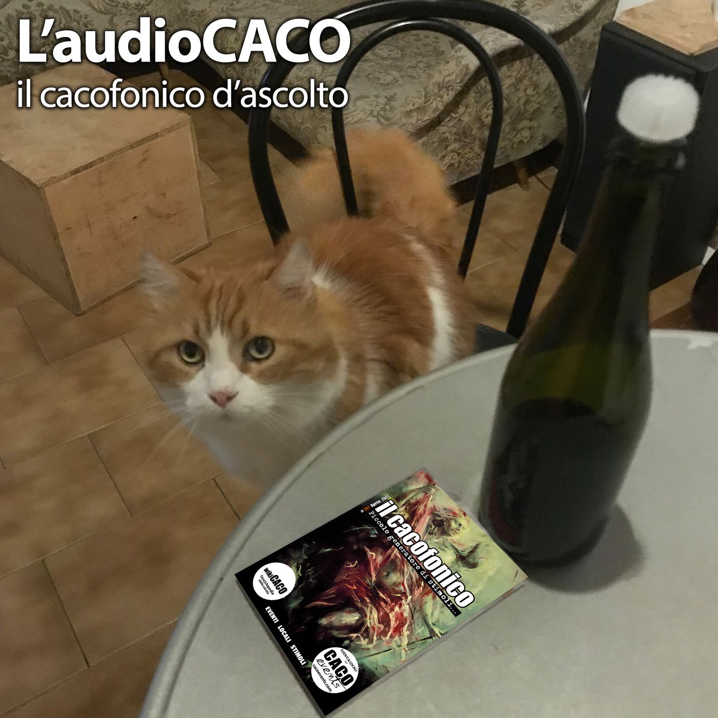 l\'audioCACO