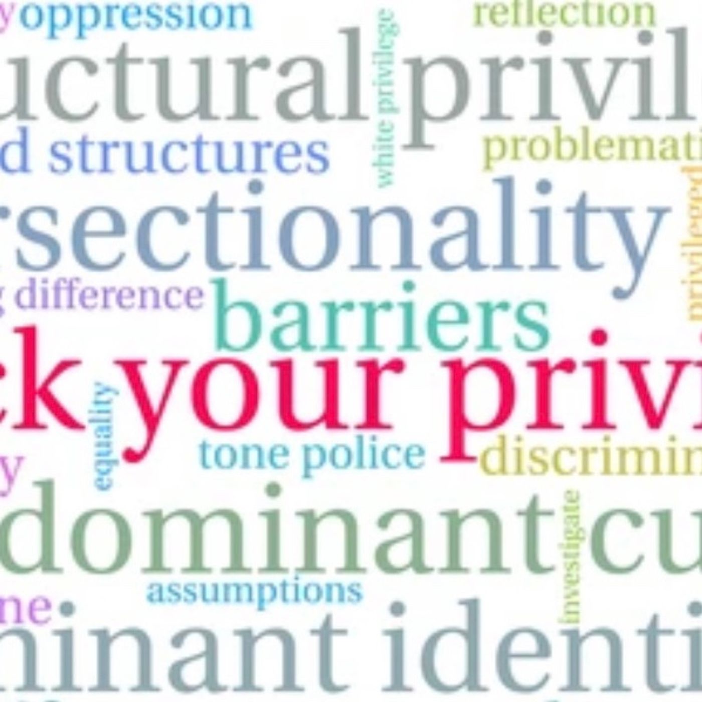 Check your Privilege /American Privilege episode artwork