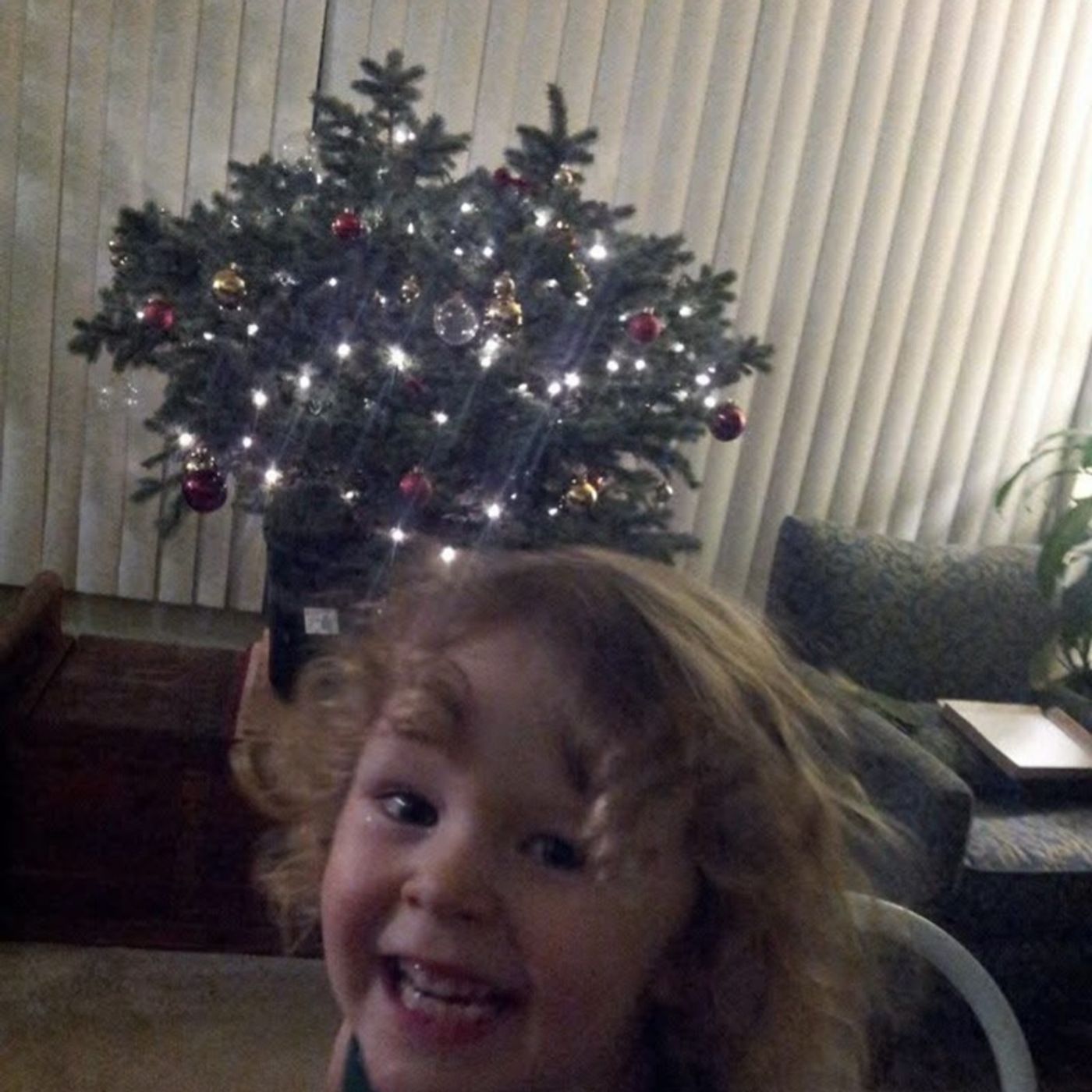 Episode 297 - Christmas Tree Sustainability