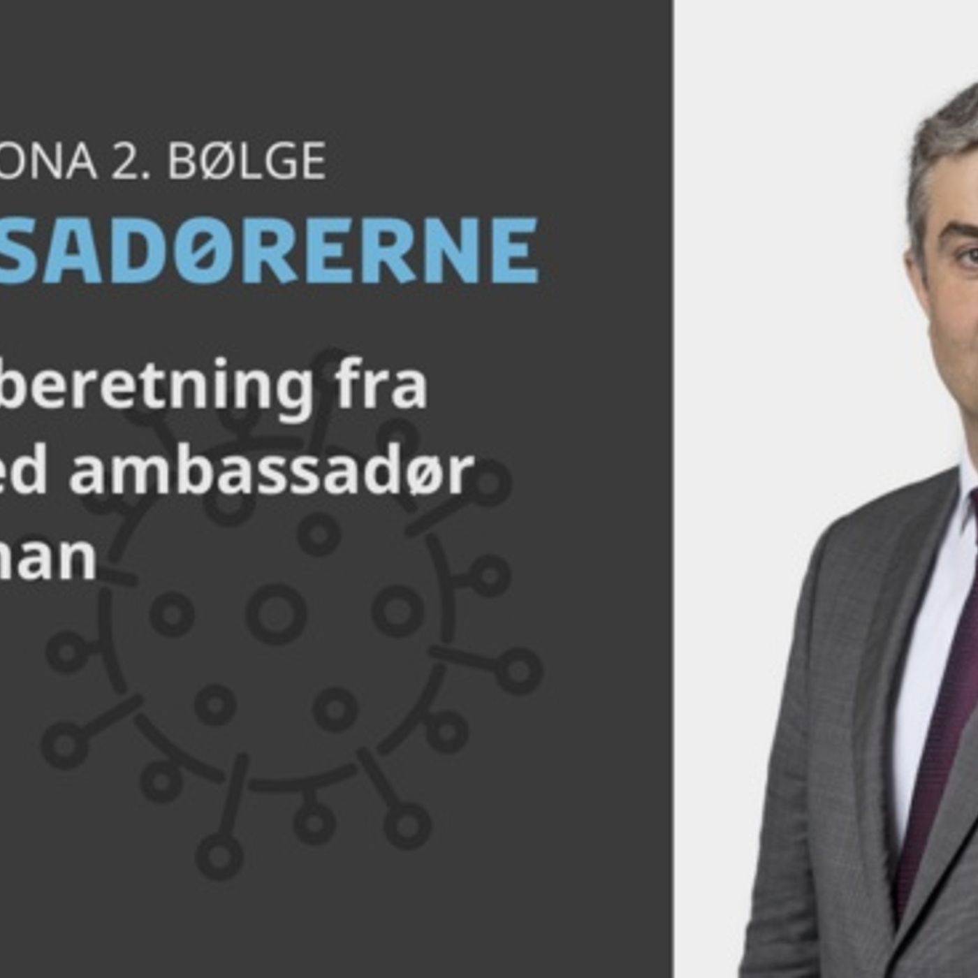 Ambassadørerne