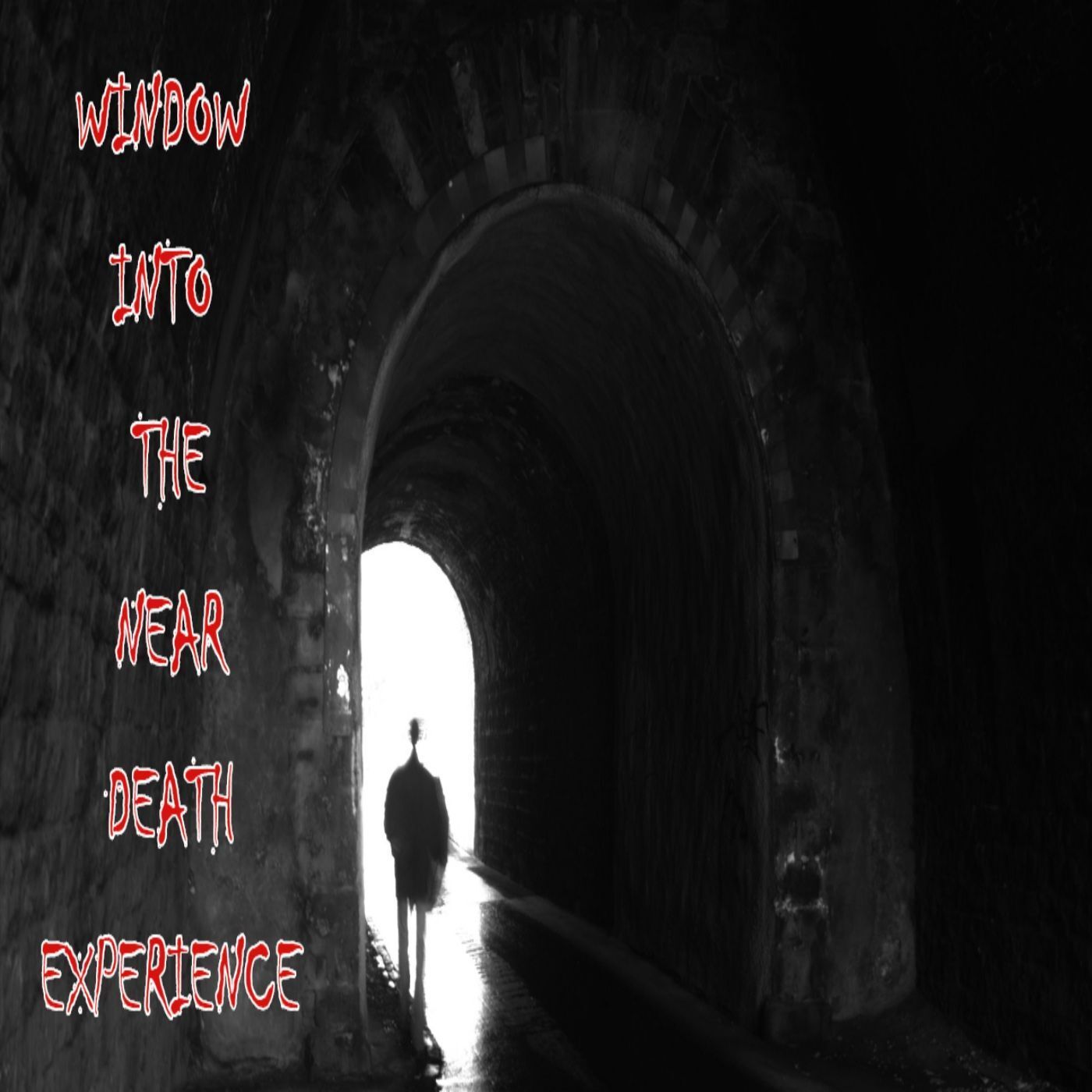 Into The Parabnormal