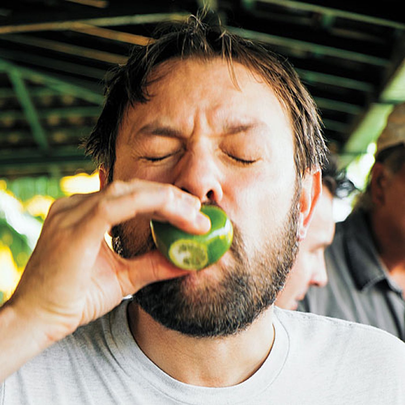 Food, Drink, and Travel