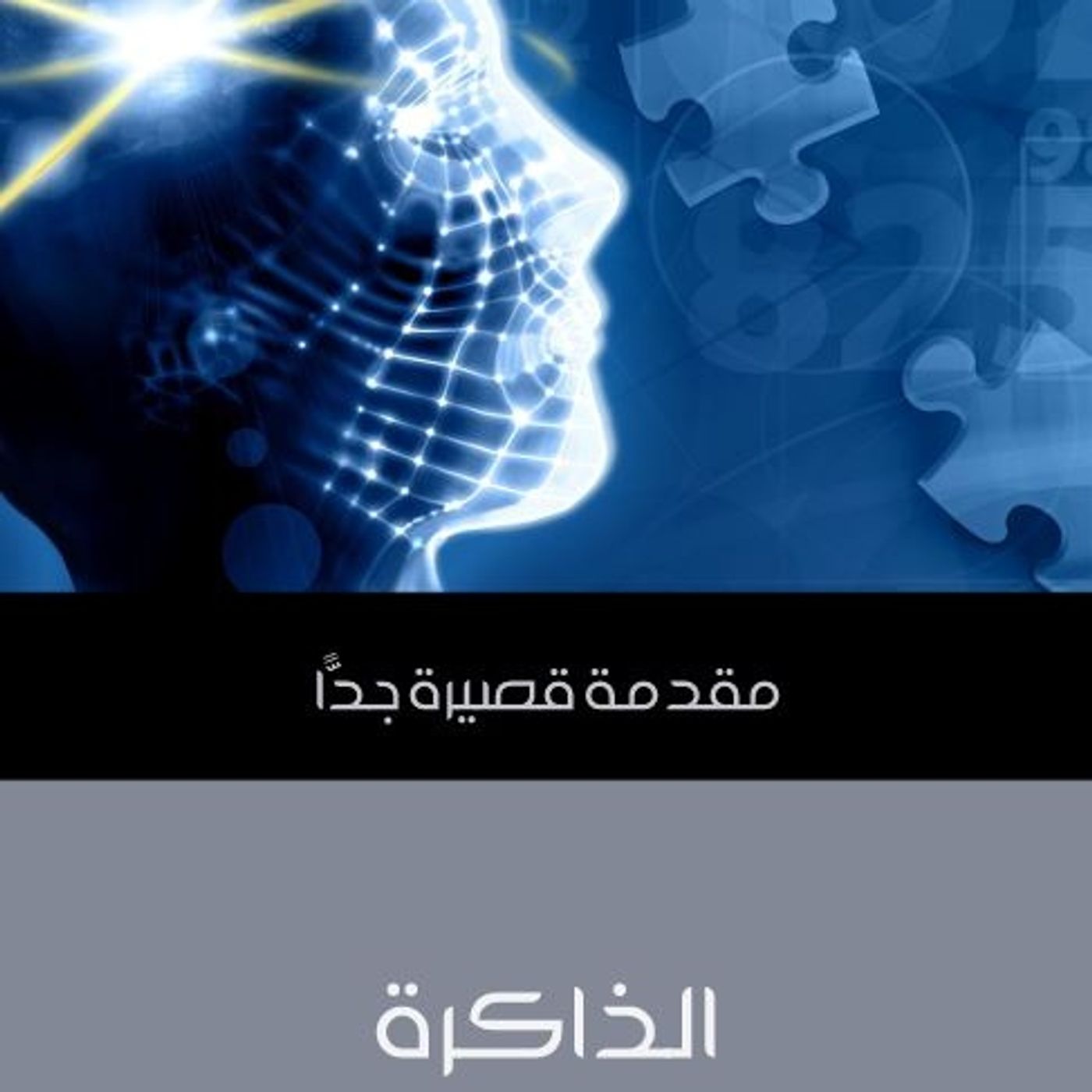 مقدمة قصيرة جداً - الذاكرة