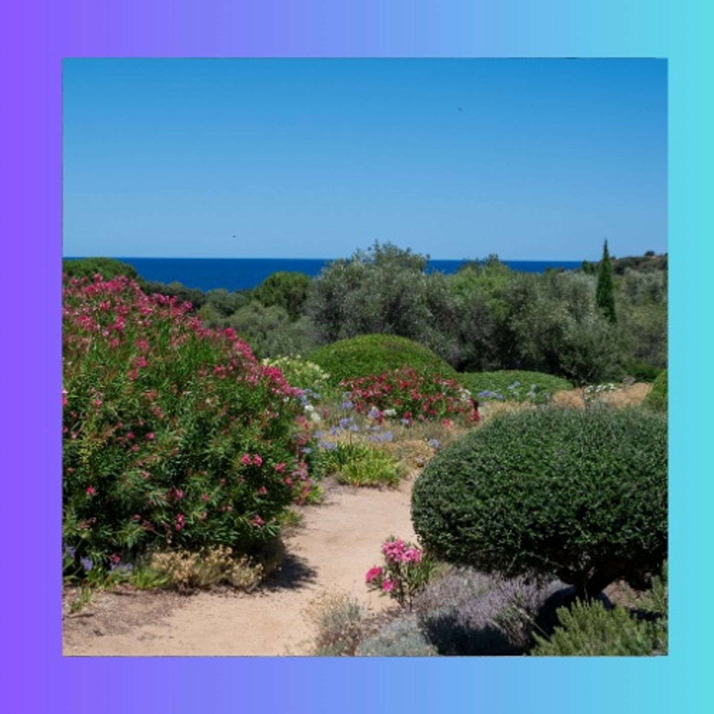 #205 Giardini mediterranei tra geometria e poesia