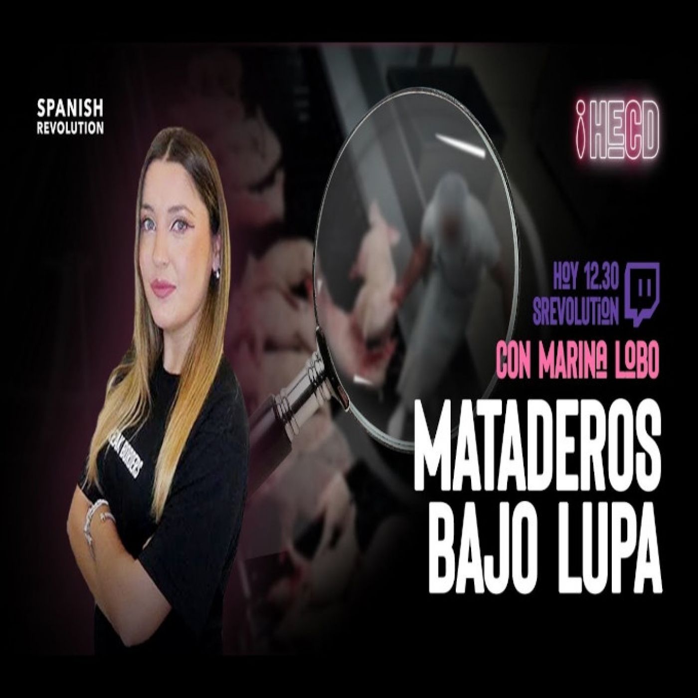 HECD 119 - Videovigilancia en mataderos y "paliza" a Hermann Tertsch Diputado al Parlamento Europeo