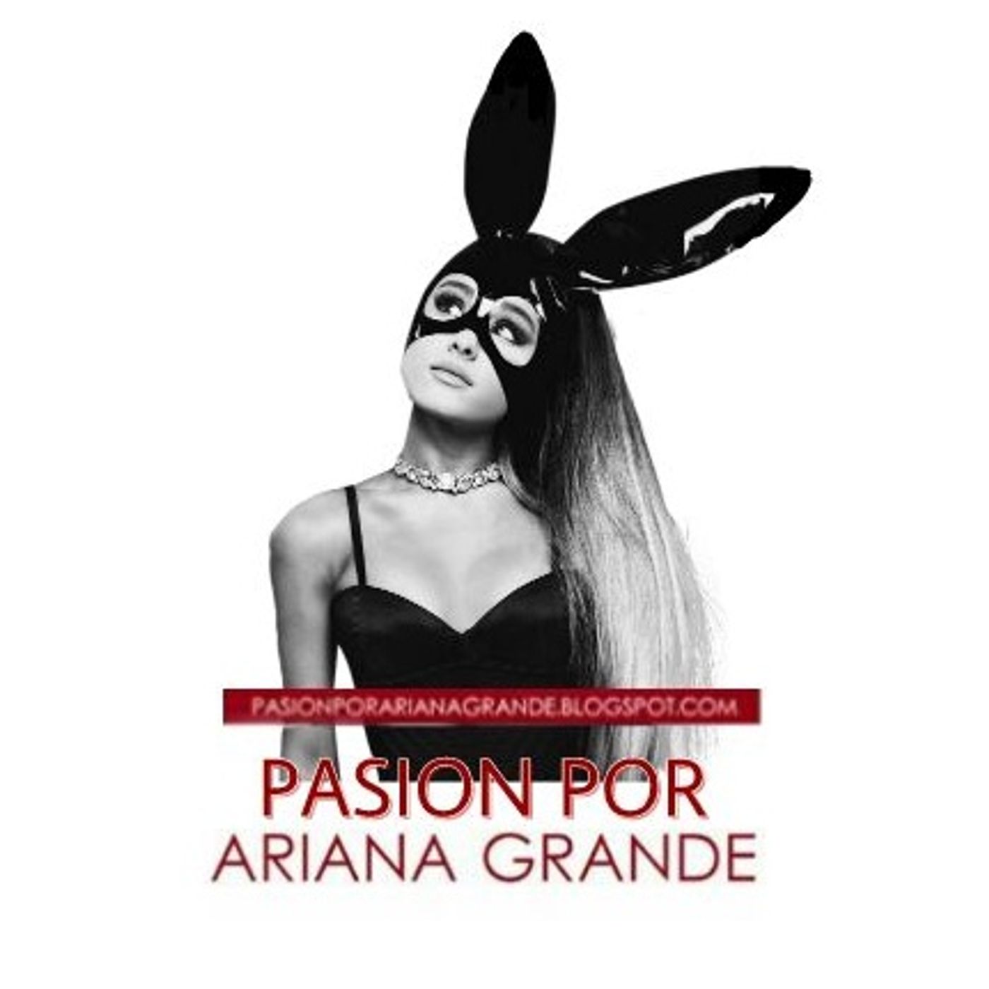Pasión Por Ariana Grande