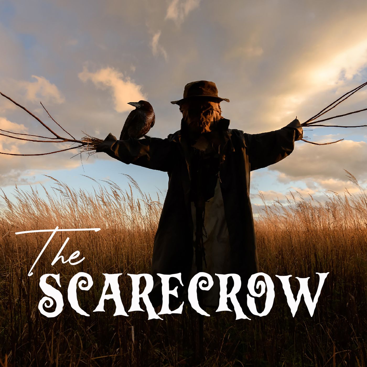 The Scarecrow episode artwork