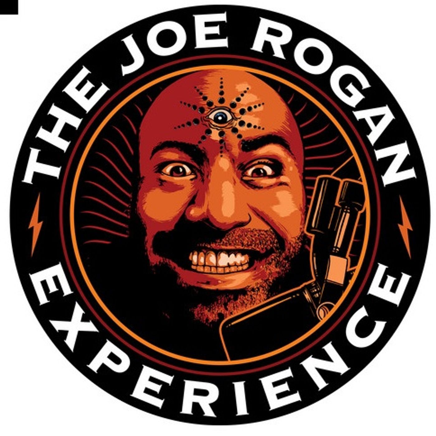 Joe Rogan Artwork