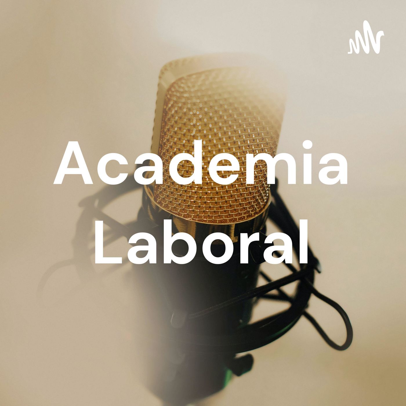 Academia Laboral