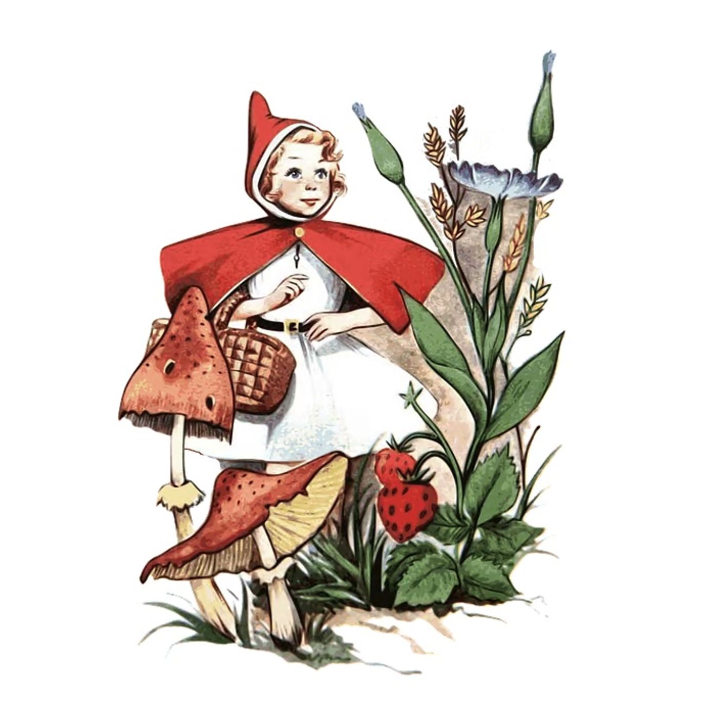 Klein Knopje |  Verhalen Met Feeën episode artwork