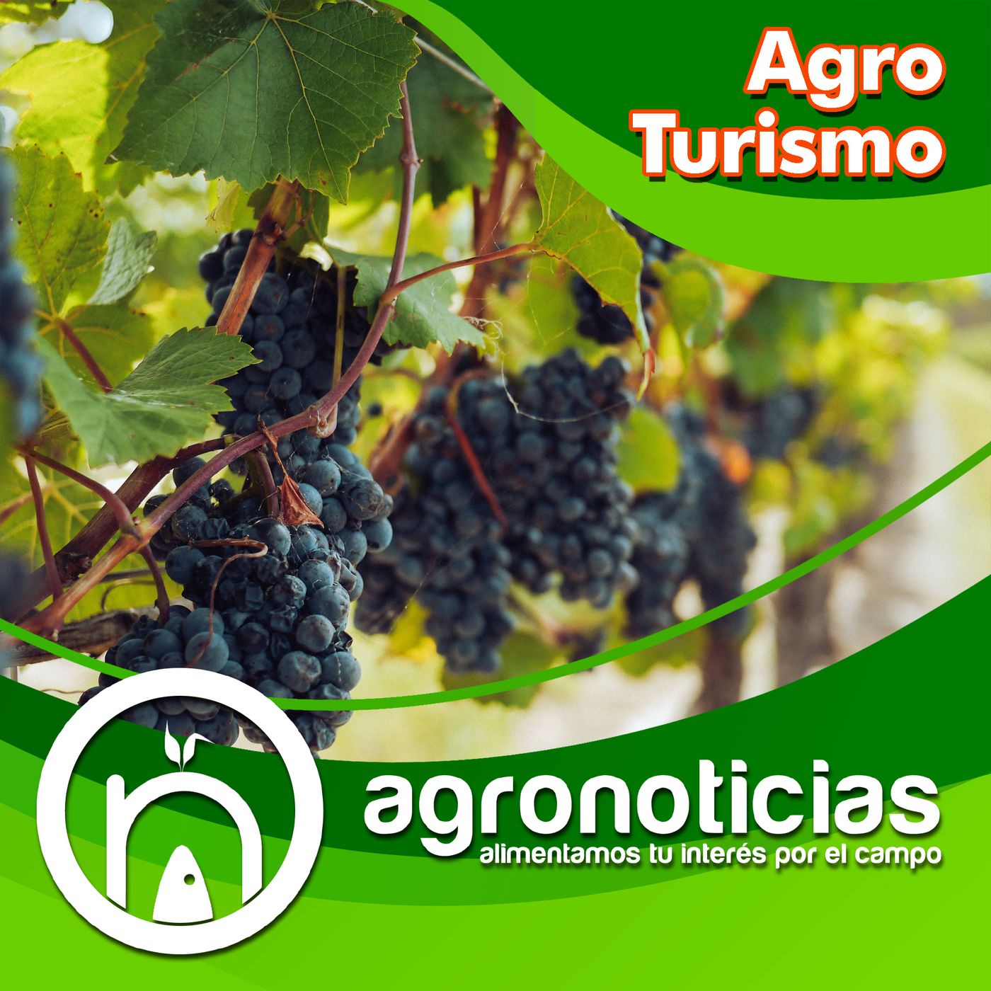 AgroTurismo podcast artwork
